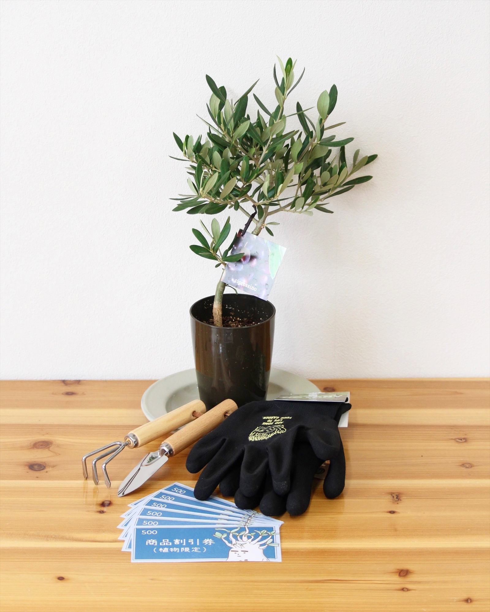 福袋 グリーン①