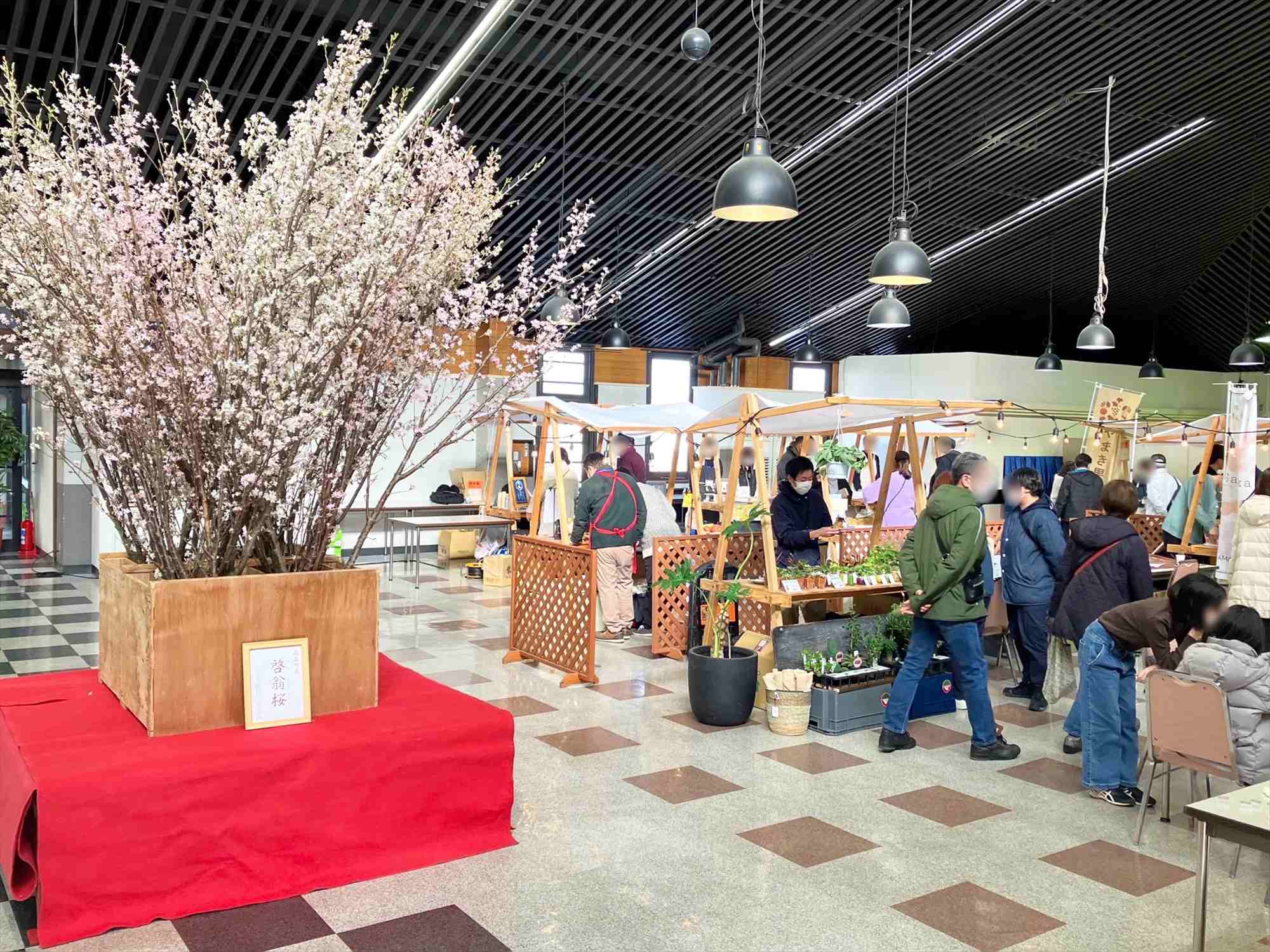 さくら咲くチサンマーケット